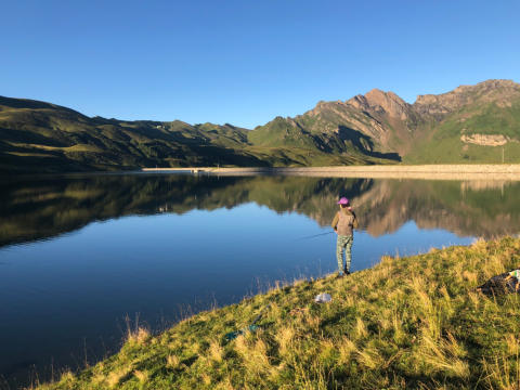 Tannsee